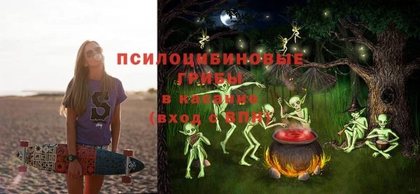 PSILOCYBIN Навашино