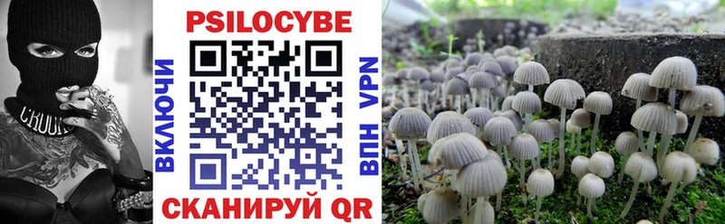 mega как войти  Волгодонск  Галлюциногенные грибы Magic Shrooms 