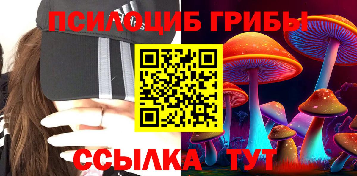Псилоцибиновые грибы Magic Shrooms Волгодонск